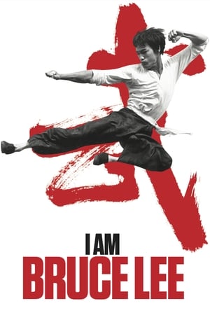 I Am Bruce Lee 2012 300MB Hindi Dual Audio I Am Bruce Lee 2012 300MB Hindi Dual Audio