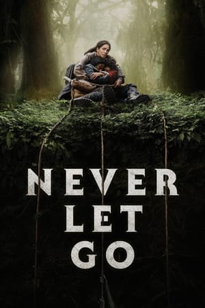 Never Let Go 2024 Hindi Dual Audio – 720p – Never Let Go 2024 Hindi Dual Audio – 720p –