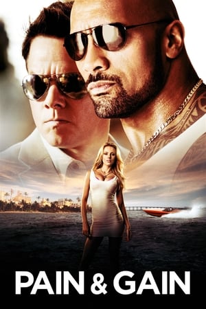 Pain & Gain 2013 400MB Dual Audio Hindi Download Pain & Gain 2013 400MB Dual Audio Hindi Download