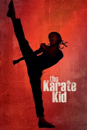 The Karate Kid 2010 Hindi Dubbed 300MB Full Movie The Karate Kid 2010 Hindi Dubbed 300MB Full Movie