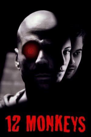 Twelve Monkeys (1995) Hindi Dual Audio 450MB Twelve Monkeys (1995) Hindi Dual Audio 450MB